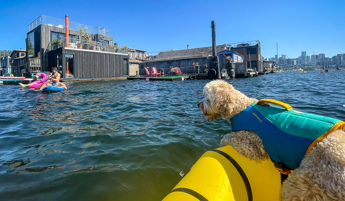 Bondi wears her Ruffwear Float Coat™ Dog Life Jacket while on a raft in the water.