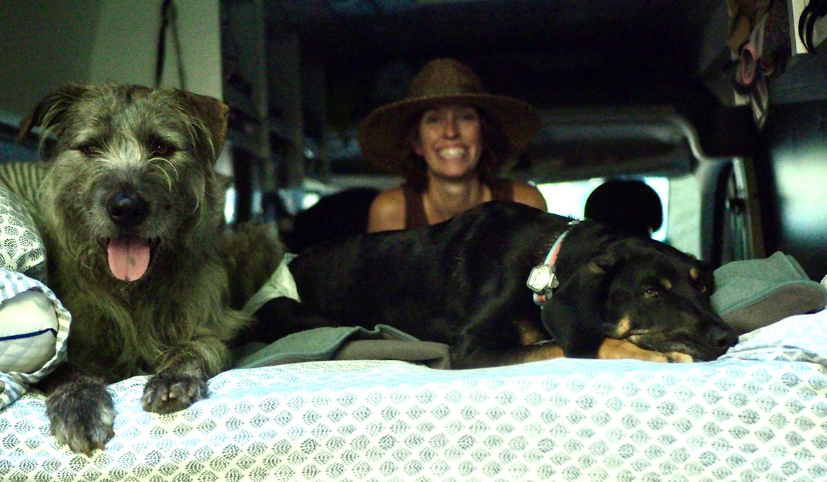 Two dogs and their owner relax in their van.