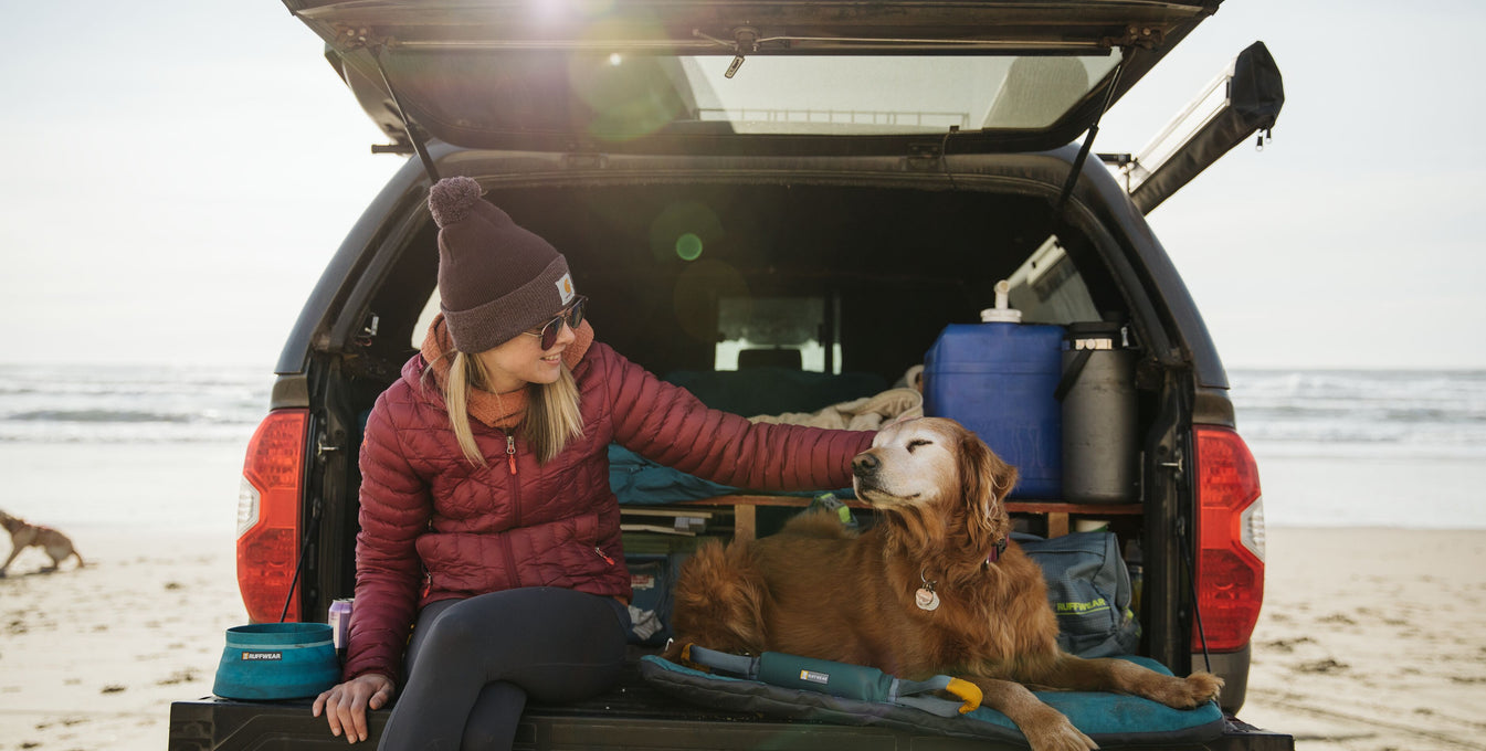 A woman sits next to her dog in the trunk of her car at a beach.