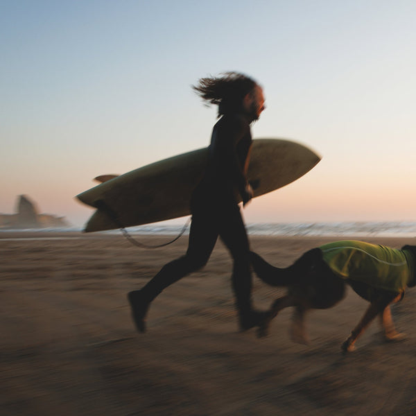 A woman balances on rocks with her dog.