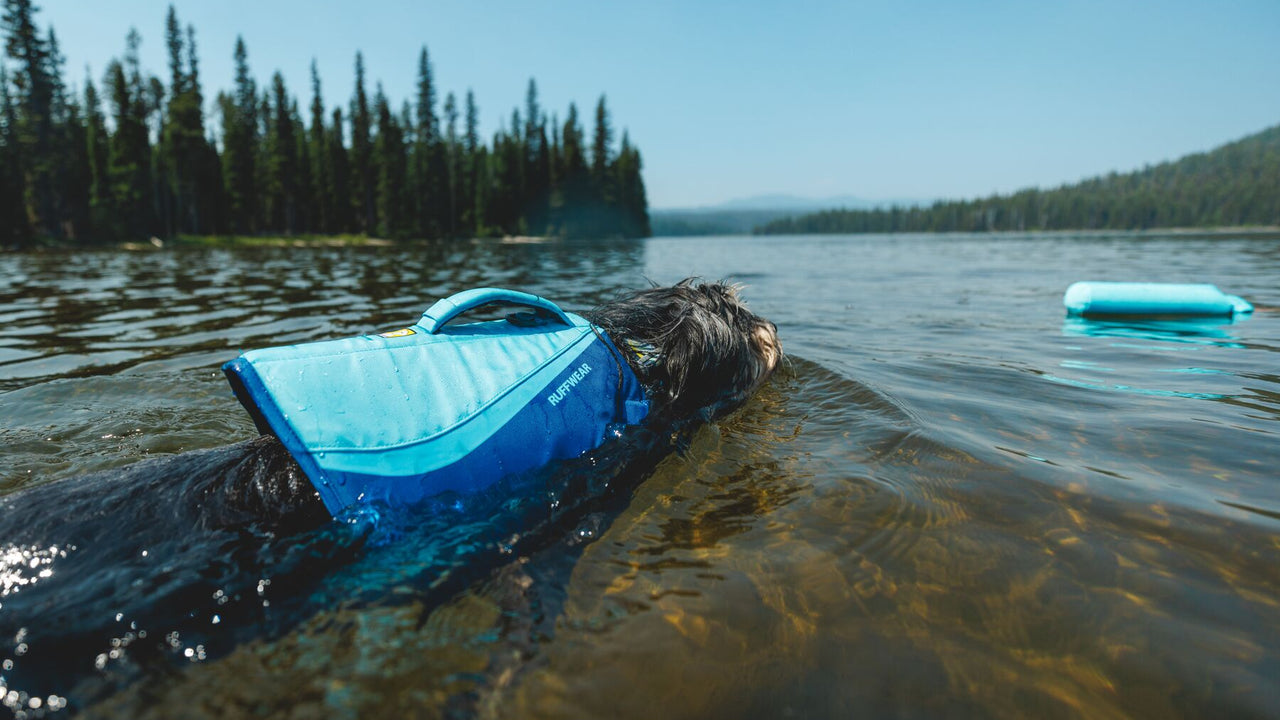 Natural Swimming Position