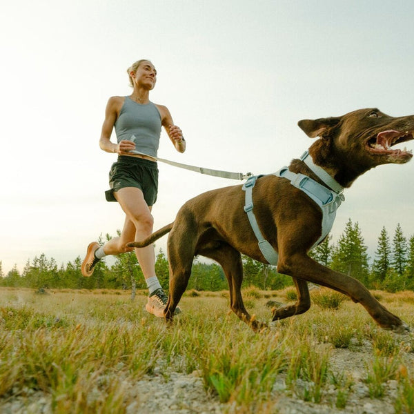 A woman runs with her dog