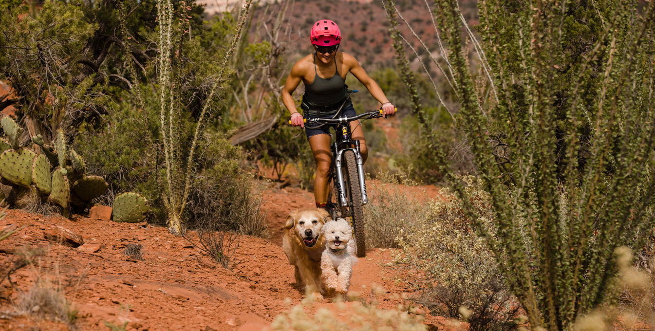 A woman bikes on a trail while her two dogs run ahead of her. 