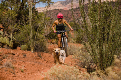 A woman bikes on a trail while her two dogs run ahead of her. 