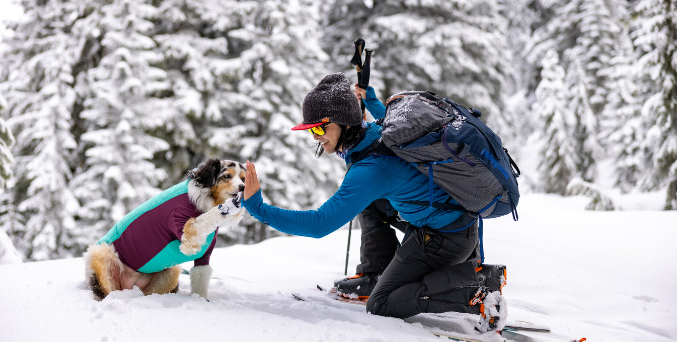 A woman high fives her dog while in the snow. 