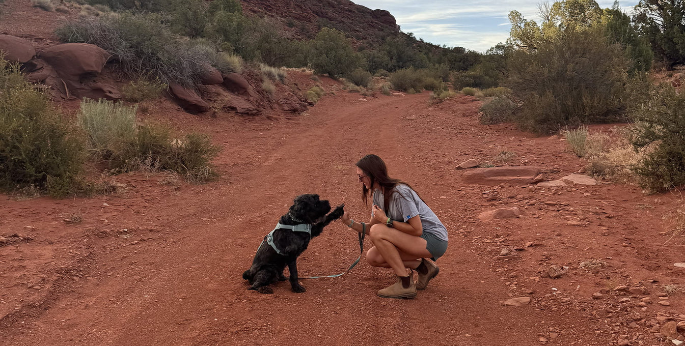 A human and dog from the AHS sit on a trail together