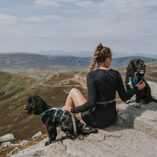 Ambassador Siobhan and her dogs, Roshe and Lunar.