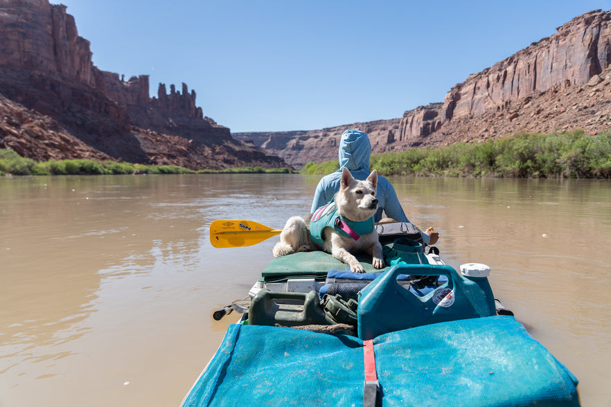 Animals Rafting How To Take a Multi-Day Rafting Trip With Your Dog | Ruffwear