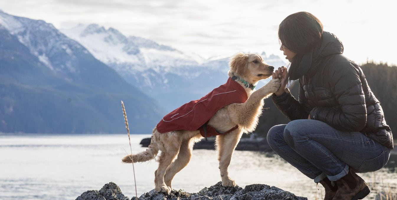 Busting Cabin Fever with Chris and Sammy