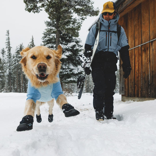 A dog bounces in the snow wearing boots