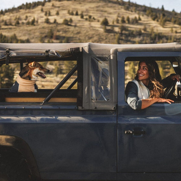 A human smiles at a dog in the back seat