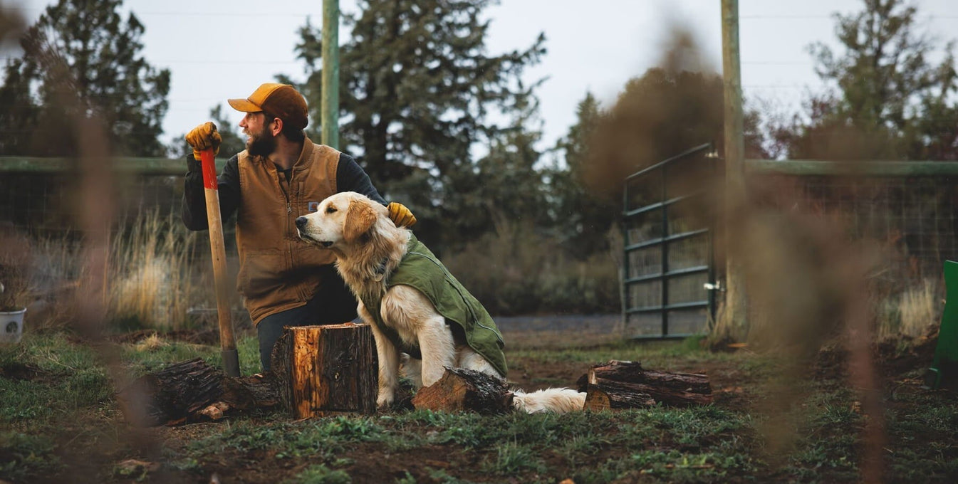 A human and dog sit on a log together in fall.
