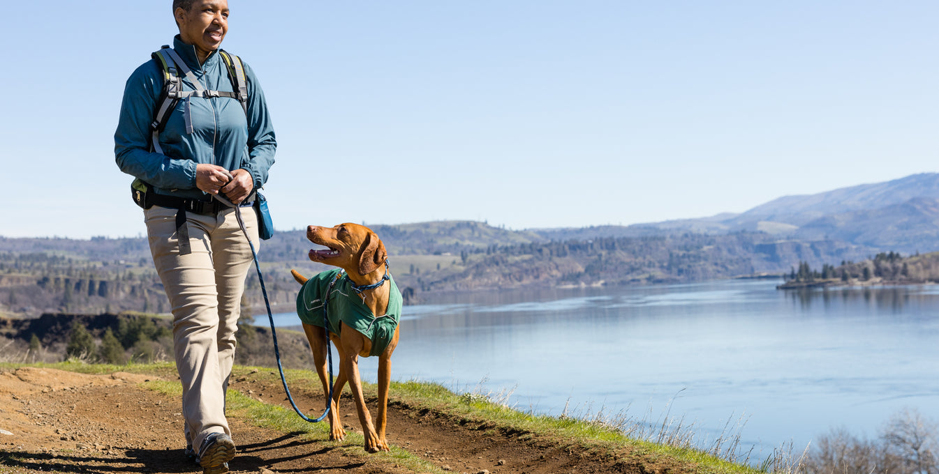 How To Find Dog-Friendly Trails