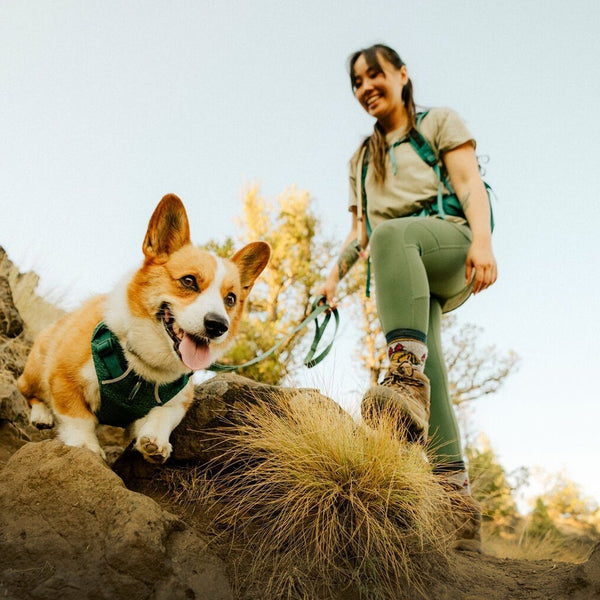 A woman and dog scramble down a path