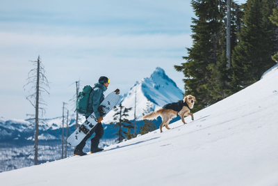 Man and his dog snowboarding.