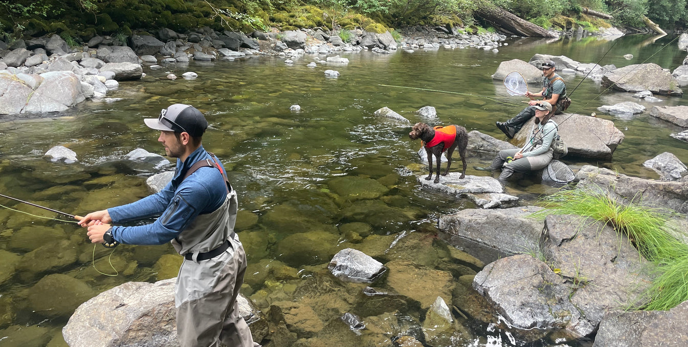 How it Started & How it’s Going: Canine Explorer Edition