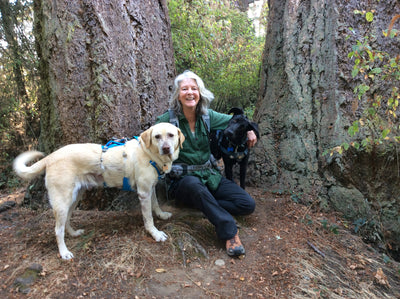 A woman poses with her two dogs while on a hike. 