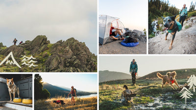 Ruffwear and Hipcamp hiking campsites.