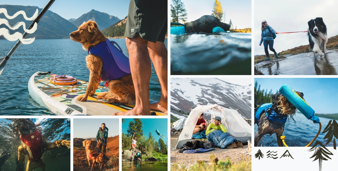 Explore campsites near water from Hipcamp and Ruffwear.