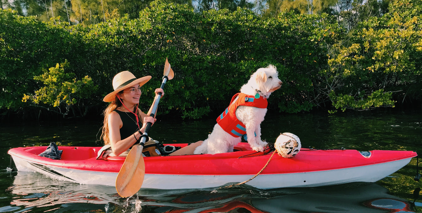 2022: The Year For Possibility & Spaghetti