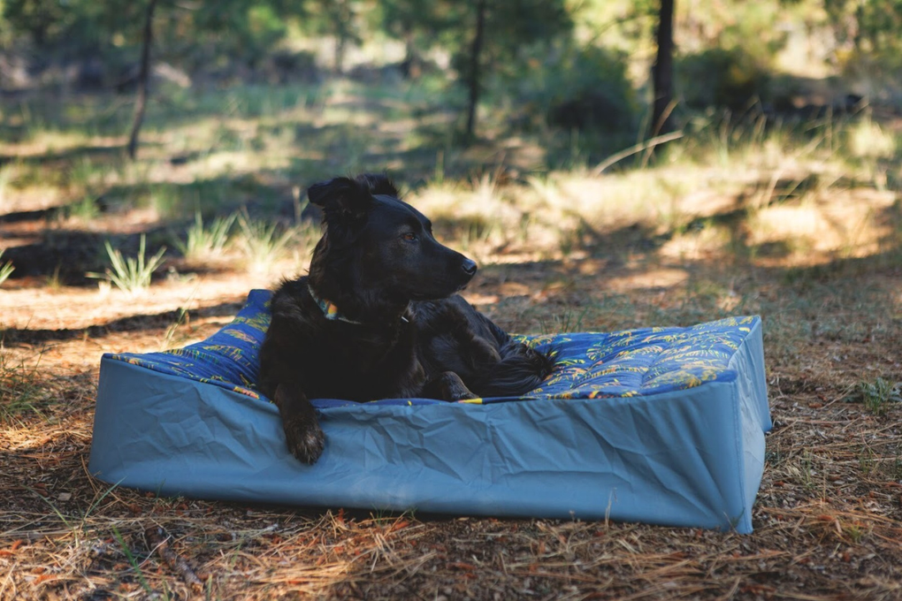 Dog resting on the Mt. EverRest™ Dog Cot and Cover.
