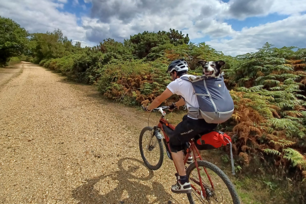 Man riding his bike with dog in Hitch Hiker Dog Backpack Carrier.