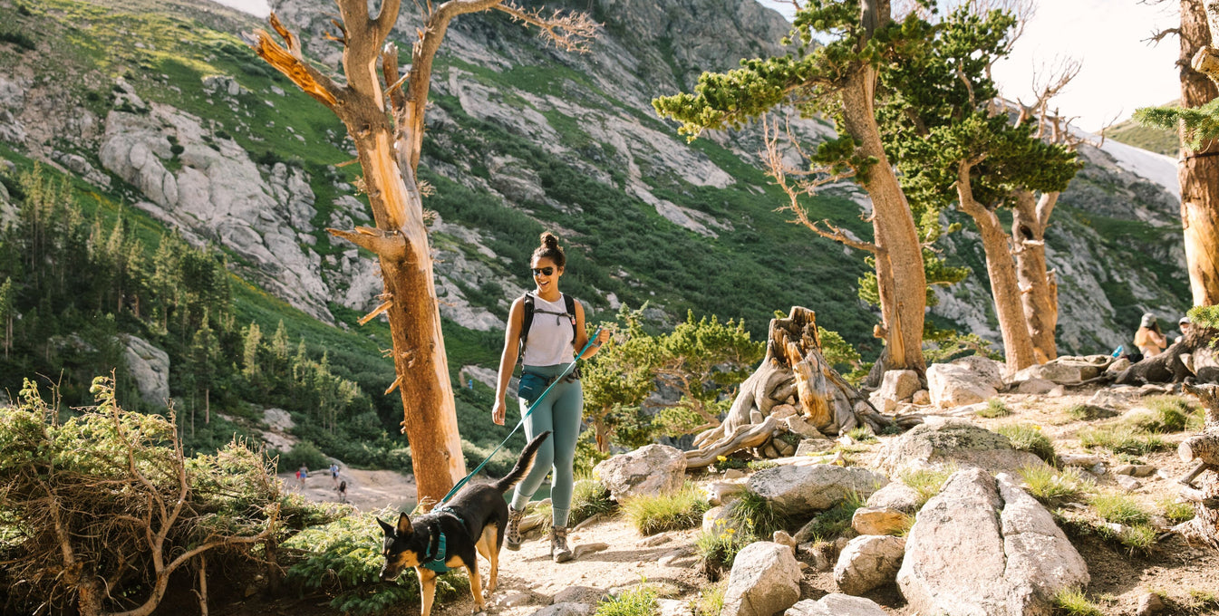 A woman hikes with her dog in the mountains. 