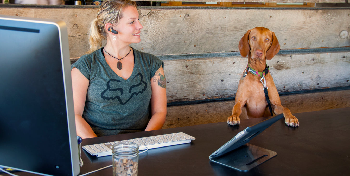 A woman and her dog sit at a desk in the Ruffwear building. 