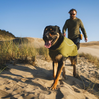 Man and dog hiking on the beach.