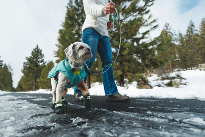 Pack member Vita and her dog Lucky on a walk in the snow.