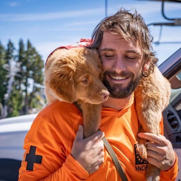 Training the Next Generation of Avalanche Rescue Dogs at Mt. Hood Meadows