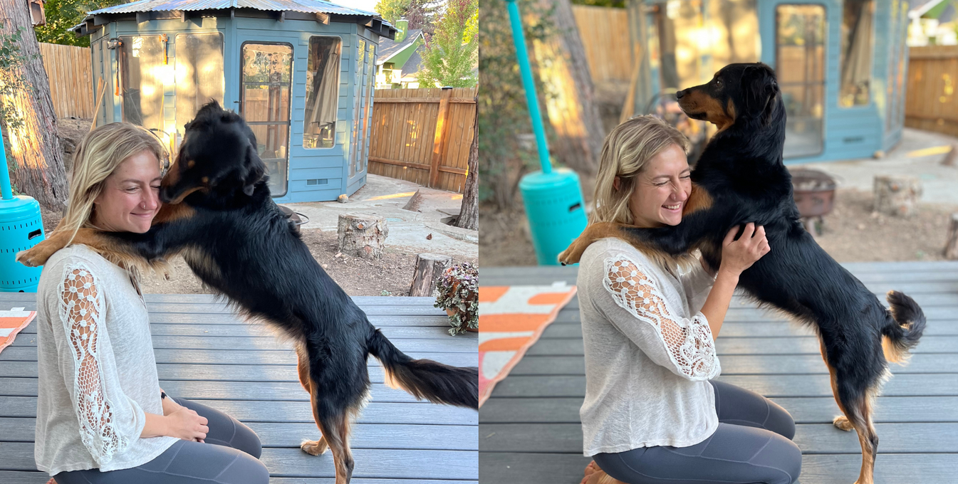 A dog gives her human companion a hug. 