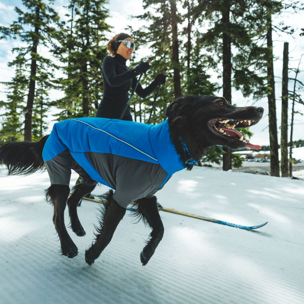 Woman skiing with her dog.