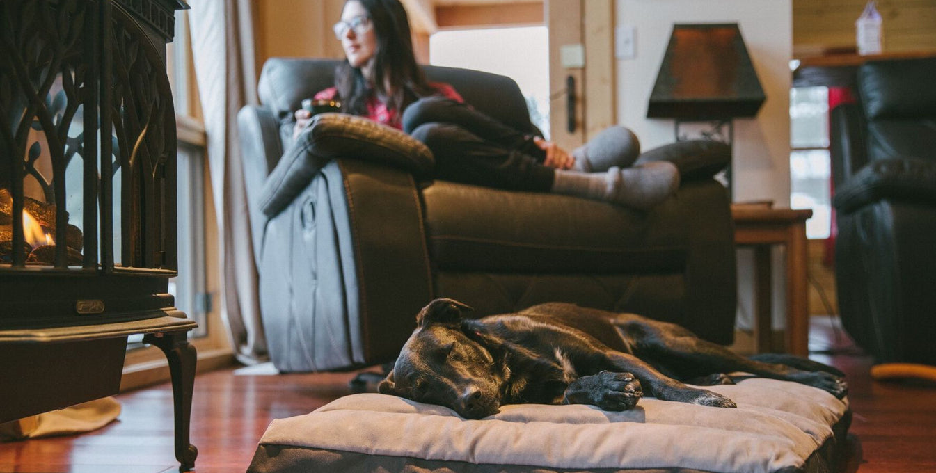 A woman sits in a chair at home while her dog lays next to her on a dog bed on the floor. 