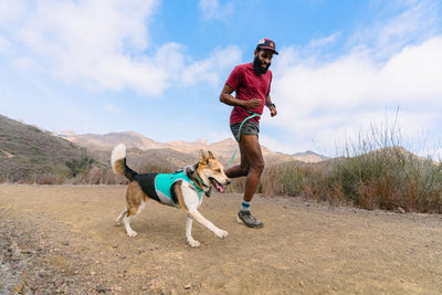 Man and dog running together