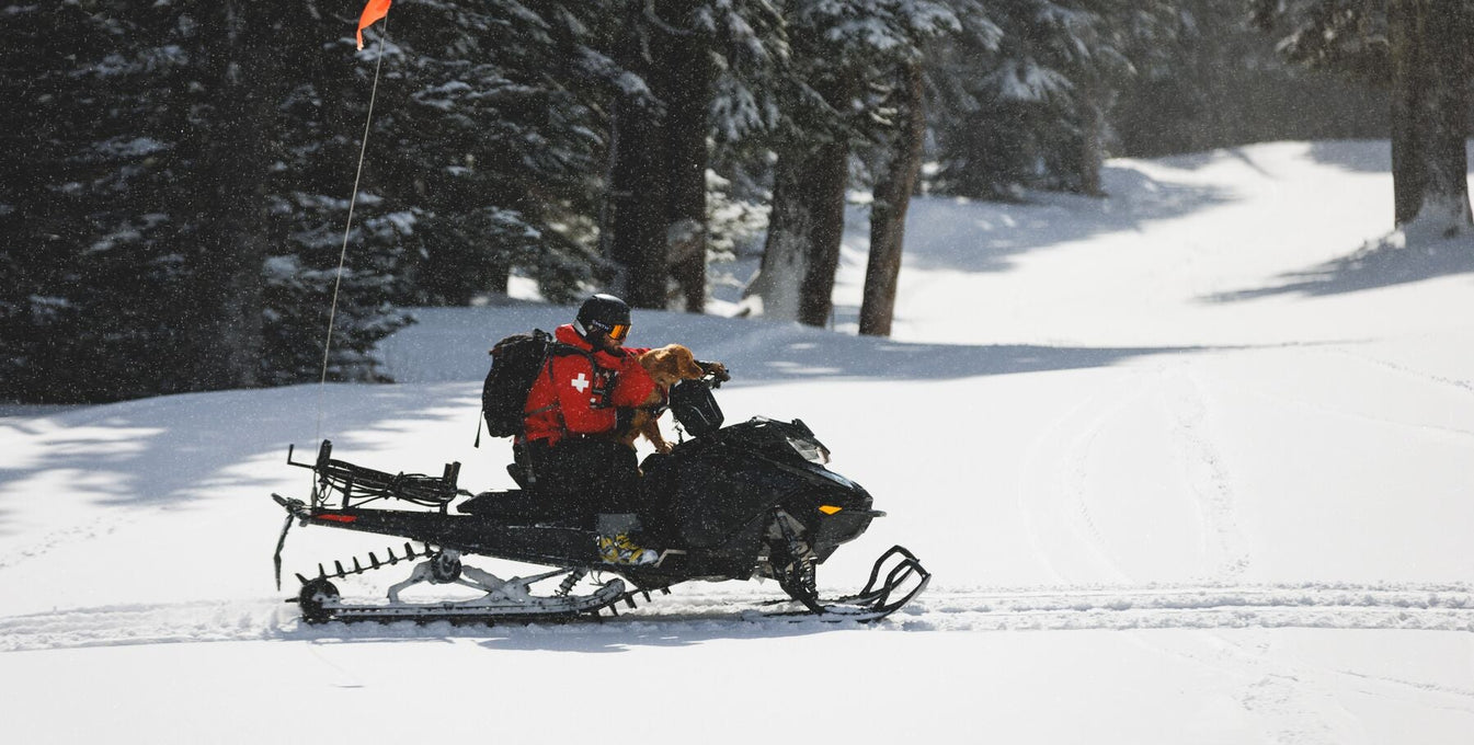 A dog wearing a Powder Hound Vest rides on a snowmobile