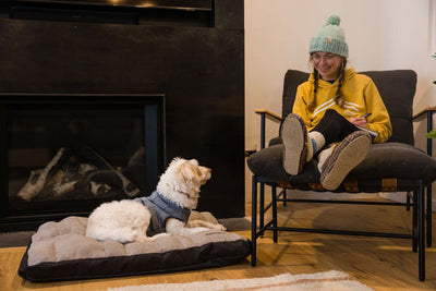 Dog sitting on a bed next to a woman reading a book