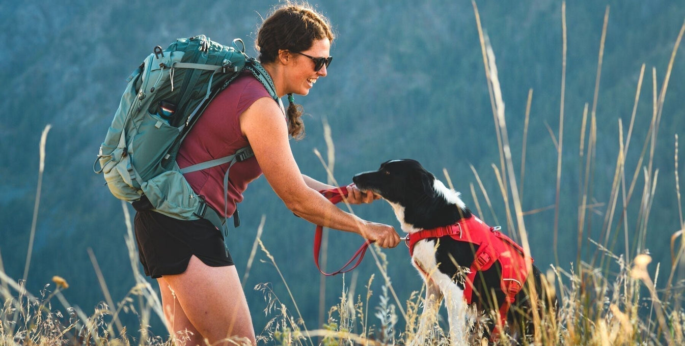 A dog and their human get ready to hike with the new Web Master™ Harness.