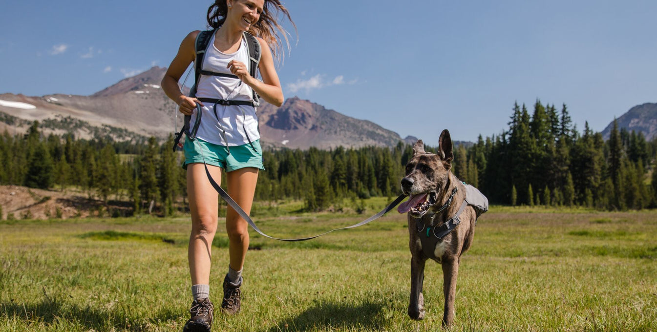 A woman runs on the grass near mountains with her dog. 