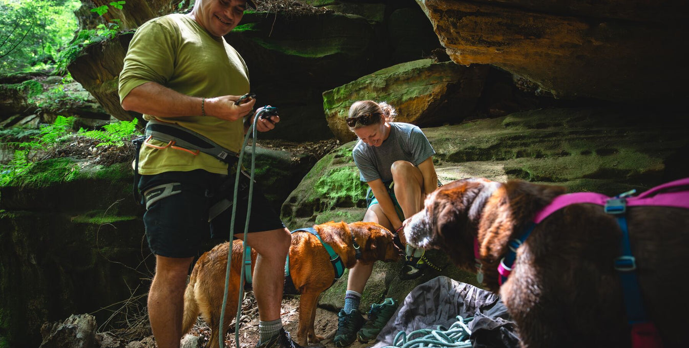 Two humans and two dogs wearing Flagline™ Harnesses hang out rock climbing outdoors.