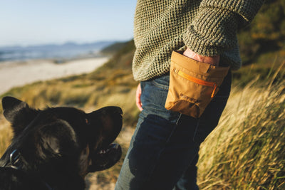 A human gives their dog a treat from the Treat Trader