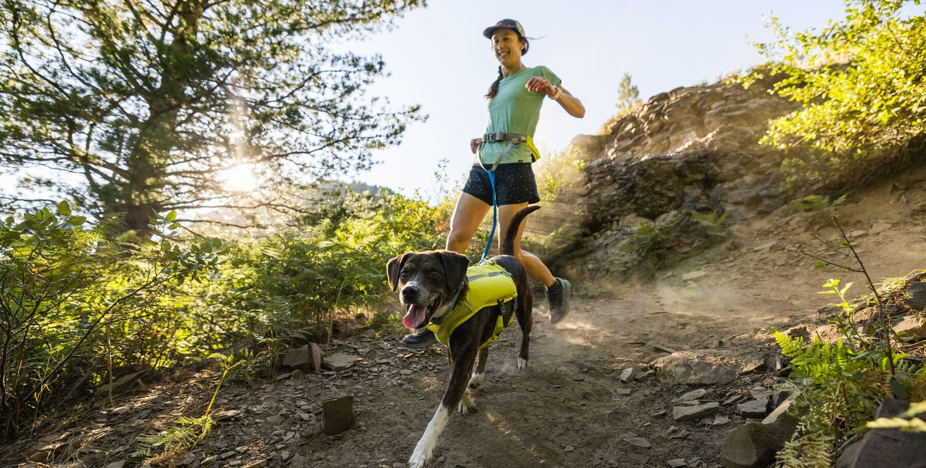 Dog-Friendly Races to Check Out in 2026