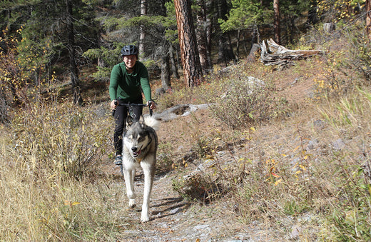 Meg and Leo ride on a trail by the woods together. Leo is a large husky.