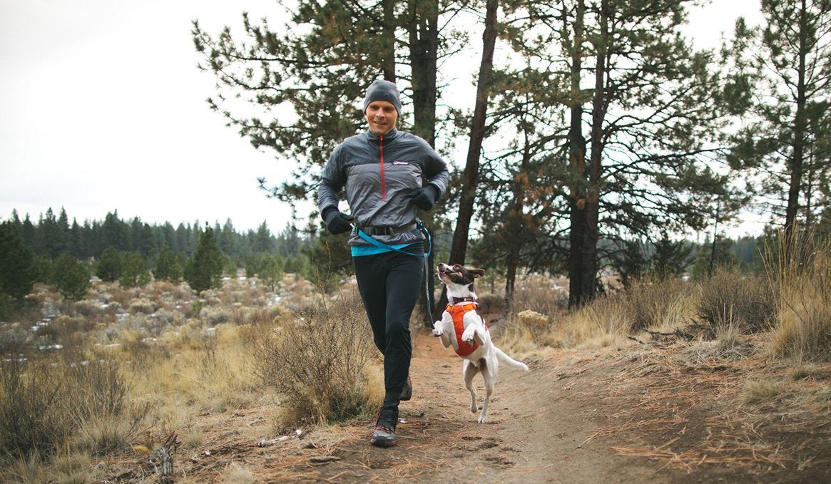 Jake in Hi & Light Harness jumps alongside Timothy on a trail run.