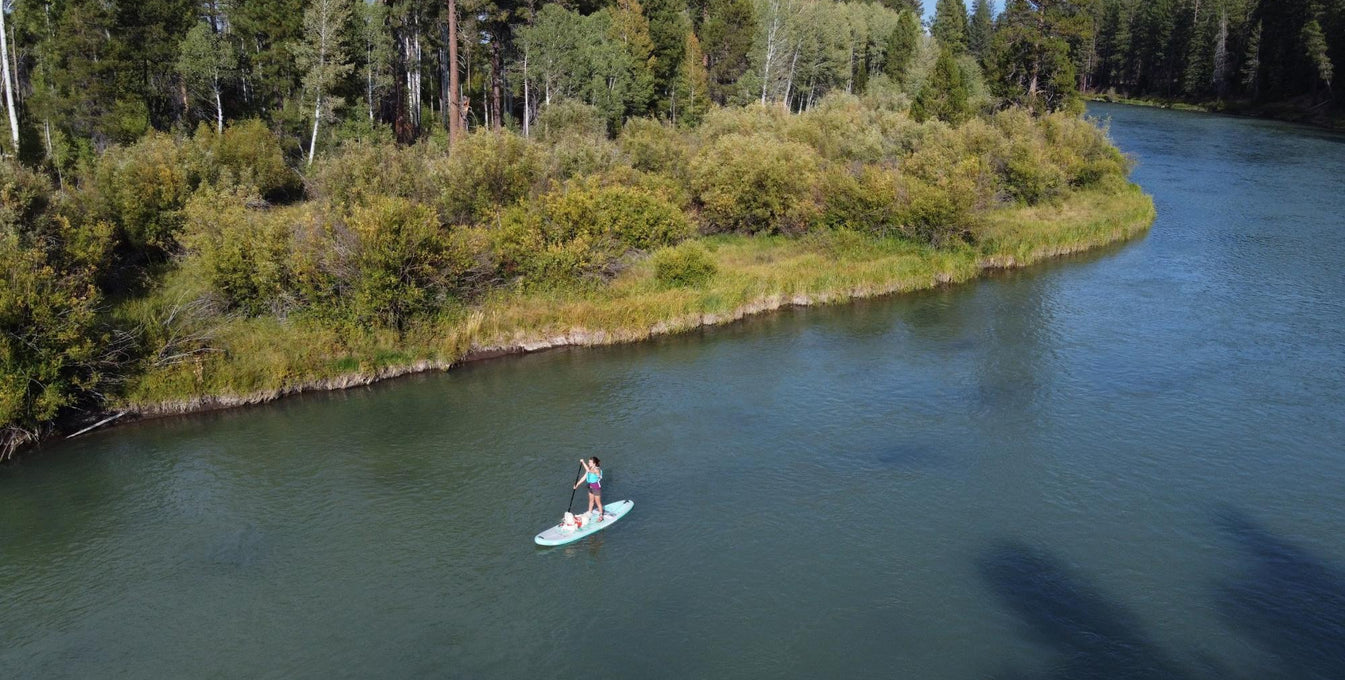 A woman paddleboards with her dog on a river. 