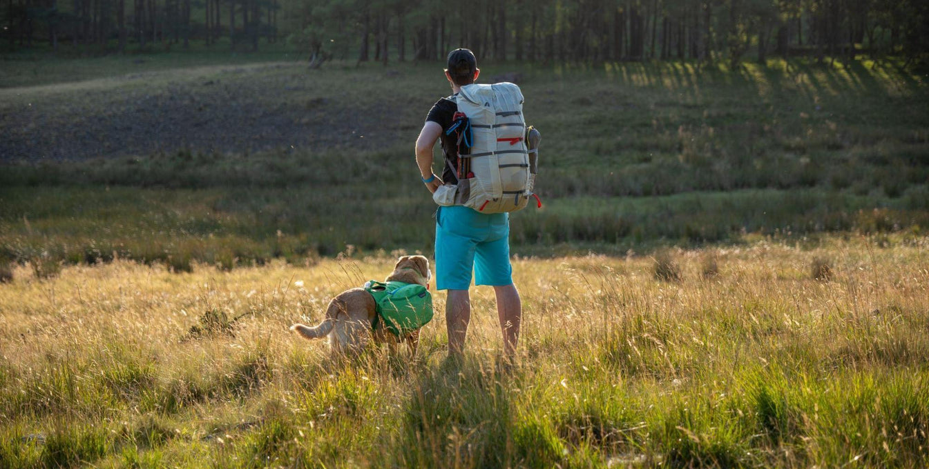 A man stands in a field with his dog while backpacking. 