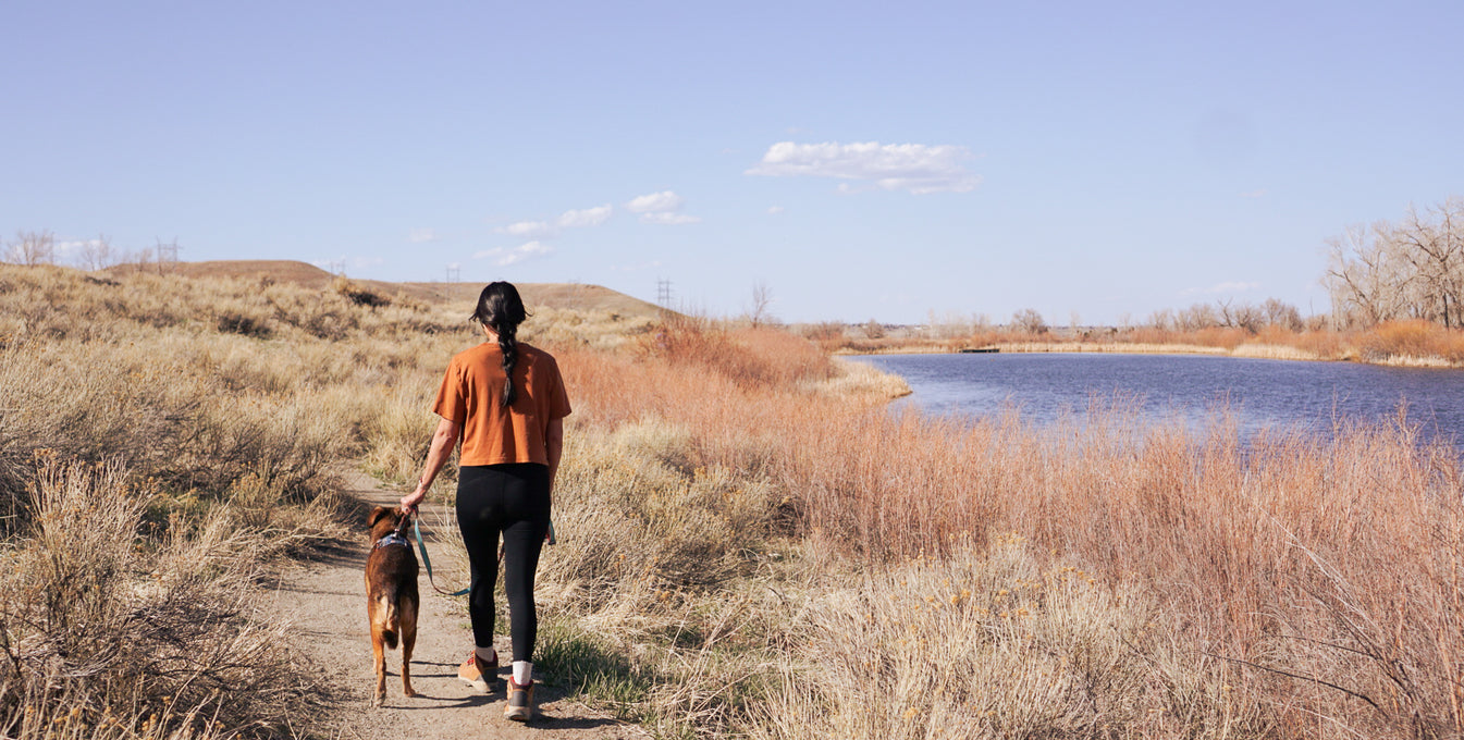 Woman and dog walking away on a trail in a dry landscape with a lake.