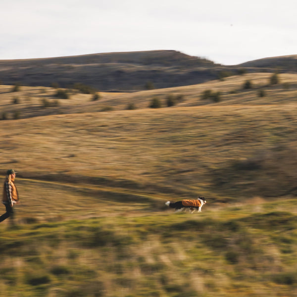 A human walks across a Montana scene with a dog wearing an Overcoat Fuse™ Vest