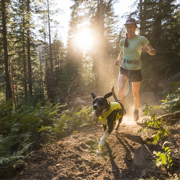 Trail Runner™ Collection