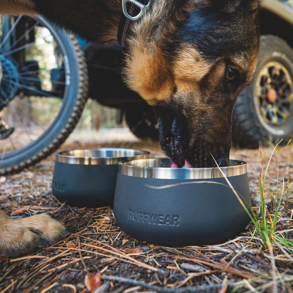 A woman pets her dog in the mountains